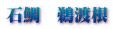 石鯛 鵜渡根